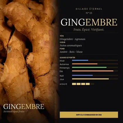 N°13 Gingembre, extrait de parfum aromatique frais — visuel complet avec notes et saisons