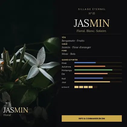 N°15 Jasmin, extrait de parfum floral — visuel complet avec notes et saisons