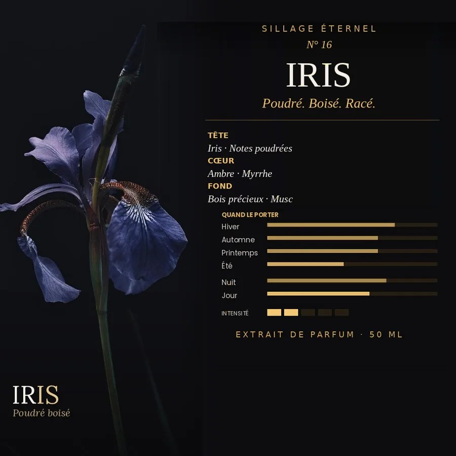 N°16 Iris, extrait de parfum poudré boisé