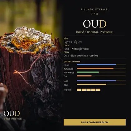 N°18 Oud, extrait de parfum boisé oriental — visuel complet avec notes et saisons